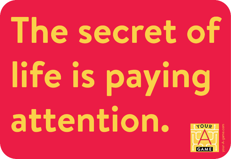 The secret of life is paying attention.